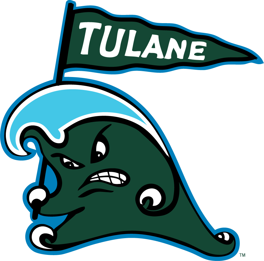 Tulane Green Wave 2016-2017 Secondary Logo DIY iron on transfer (heat transfer)